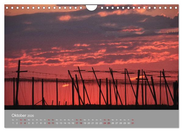 Produktbild: Hallertau (Wandkalender 2026 DIN A4 quer), CALVENDO Monatskalender