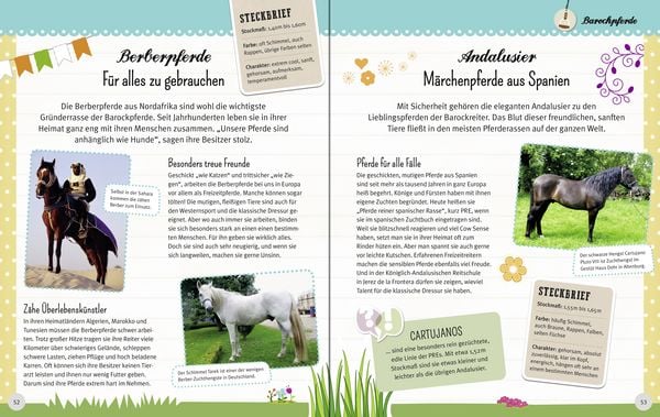 Produktbild: Wunderbare Welt der Pferde und Ponys