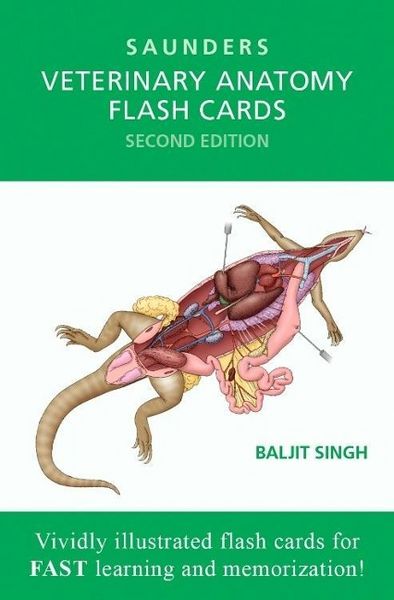 Produktbild: Veterinary Anatomy Flash Cards