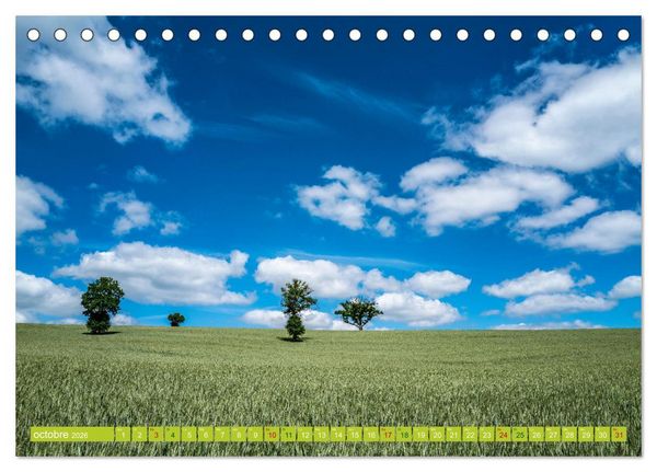 Produktbild: Solitude verdoyante (Calendrier de bureau 2026 DIN A5 vertical), CALVENDO calendrier mensuel