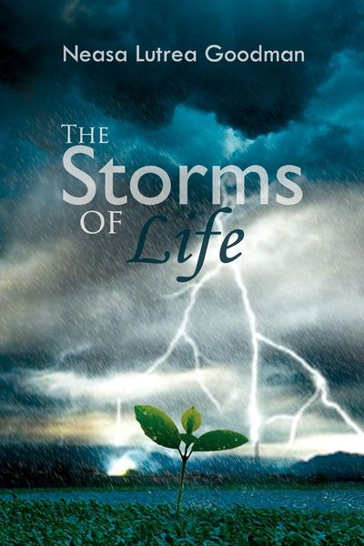Produktbild: The Storms of Life