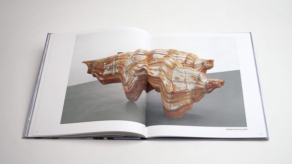 Produktbild: Tony Cragg: Points of View