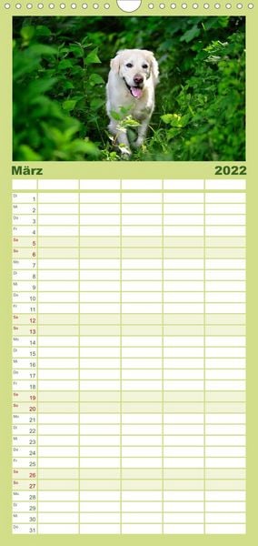 Produktbild: Familienplaner Golden Retriever (Wandkalender 2022 , 21 cm x 45 cm, hoch)