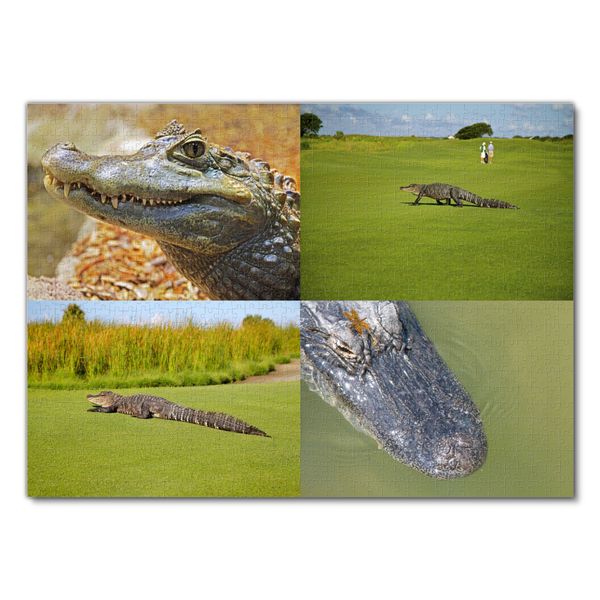 Produktbild: Lais Puzzle Collage Alligator 1000 Teile