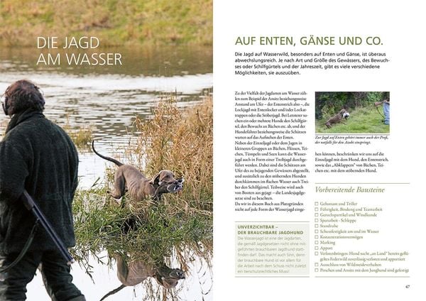 Produktbild: Die Ausbildung des Jagdhundes