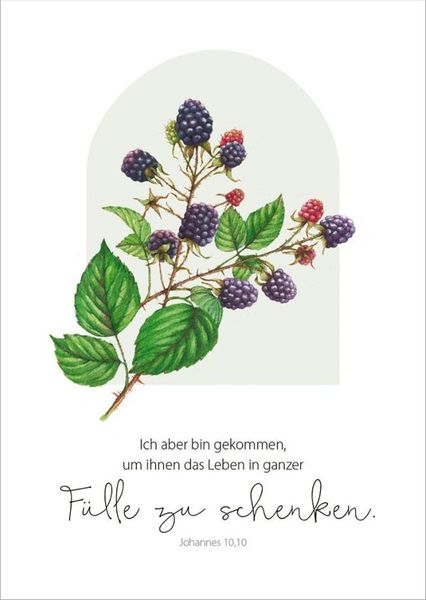 Produktbild: GartenGl&uuml;ck - Postkartenset
