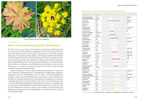 Kleiner Garten naturnah