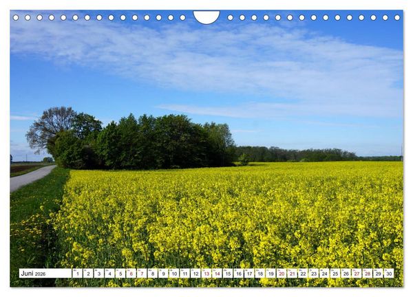 Produktbild: Traumland Estland - Erkundungen zwischen Saka und Narva (Wandkalender 2026 DIN A4 quer), CALVENDO Monatskalender