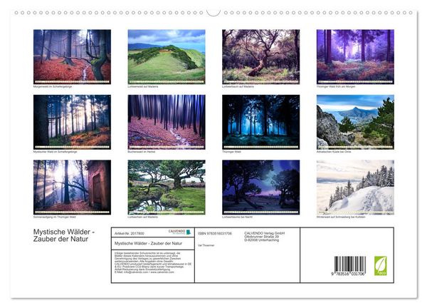 Produktbild: Mystische W&auml;lder - Zauber der Natur (hochwertiger Premium Wandkalender 2026 DIN A2 quer), Kunstdruck in Hochglanz