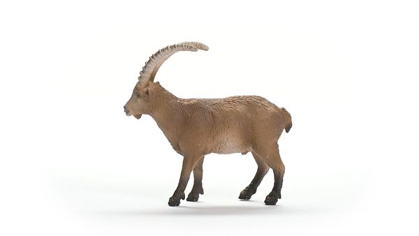 Produktbild: schleich&reg; Wild Life Steinbock 3,2cm
