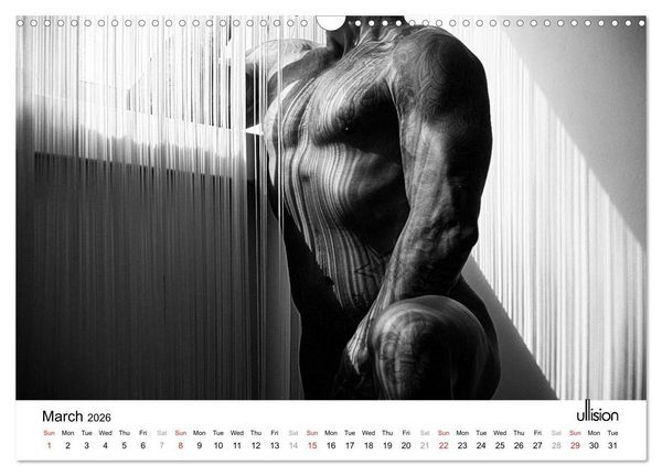 Produktbild: Male Nude Art (Wall Calendar 2026 DIN A3 landscape), CALVENDO 12 Month Wall Calendar