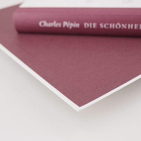 Produktbild: Die Sch&ouml;nheit des Scheiterns