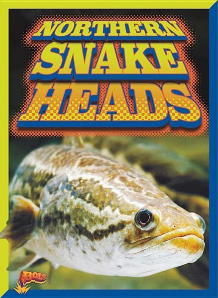 Produktbild: Northern Snakeheads
