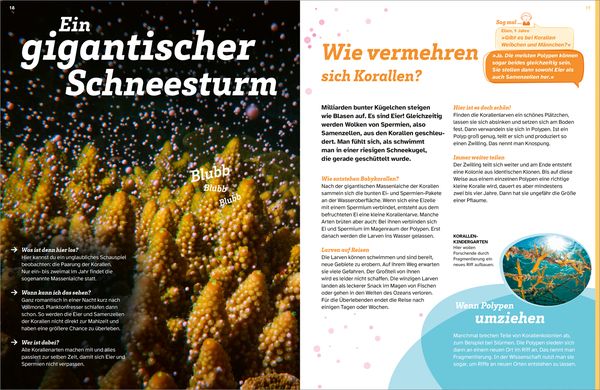 Produktbild: WAS IST WAS Korallenriff. Mitten im Gewusel