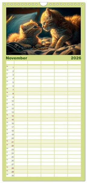 Produktbild: Familienplaner 2026 - Katzen Freunde mit 5 Spalten (Wandkalender, 21 x 45 cm) CALVENDO