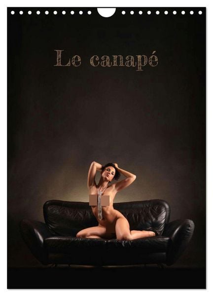 Produktbild: Le canap&eacute; (Calendrier mural 2026 DIN A4 horizontal), CALVENDO calendrier mensuel