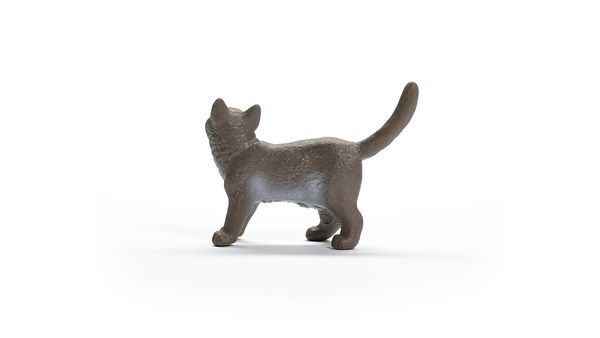Produktbild: schleich&reg; 13973 Britisch Kurzhaar Katze