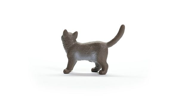 Produktbild: schleich&reg; Farm World Britisch Kurzhaar Katze 4,3cm