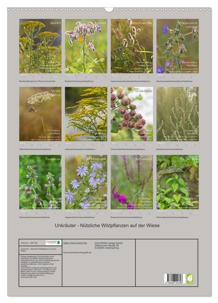Produktbild: Unkr&auml;uter - N&uuml;tzliche Wildpflanzen auf der Wiese (Wandkalender 2026 DIN A2 hoch), CALVENDO Monatskalender
