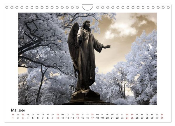 Produktbild: your guardian angel - Dein Schutzengel f&uuml;r jeden Tag (Wandkalender 2026 DIN A4 quer), CALVENDO Monatskalender
