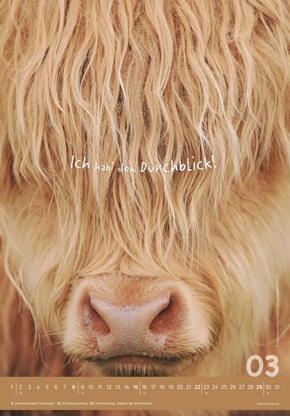 Produktbild: Tierisch cool! 2026 - Bild-Kalender 23,7x34 cm - mit lustigen Sprüchen - Humor - Wandkalender - mit Platz für Notizen - Alpha Edition