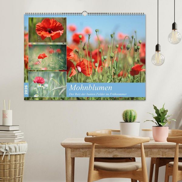 Produktbild: Mohnblumen (Wandkalender 2026 DIN A2 quer), CALVENDO Monatskalender