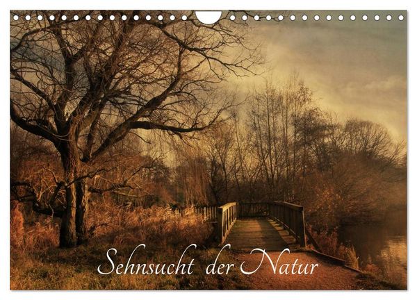Produktbild: Sehnsucht der Natur (Wandkalender 2026 DIN A4 quer), CALVENDO Monatskalender