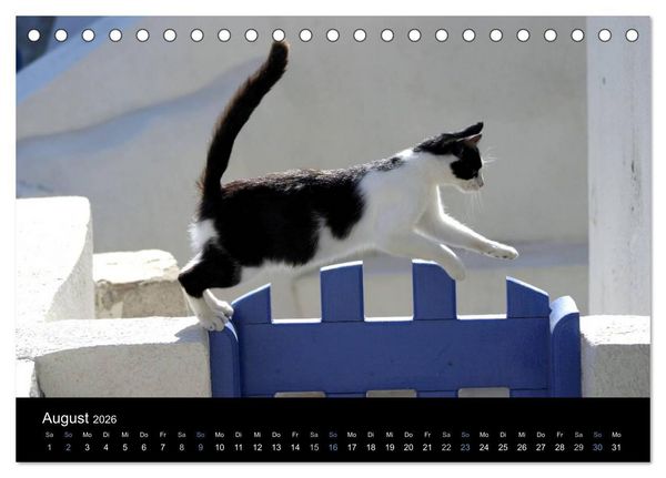 Produktbild: Katzensprung (Tischkalender 2026 DIN A5 quer), CALVENDO Monatskalender