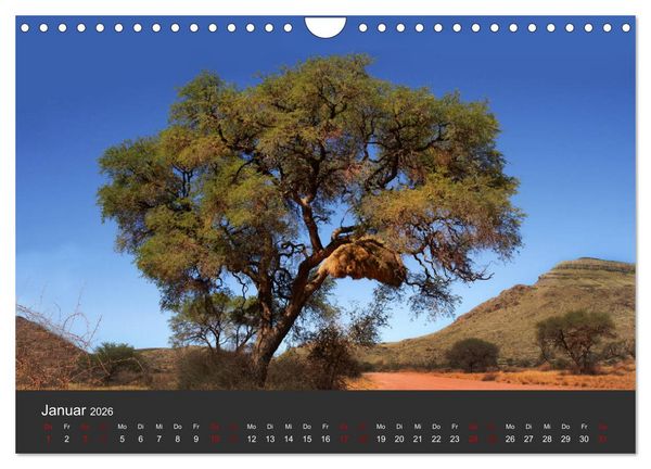 Produktbild: S&uuml;dafrika - Einzigartige Natursch&ouml;nheit (Wandkalender 2026 DIN A4 quer), CALVENDO Monatskalender