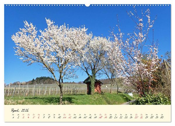 Produktbild: Malerisches Heppenheim an der Bergstra&szlig;e (hochwertiger Premium Wandkalender 2026 DIN A2 quer), Kunstdruck in Hochglanz