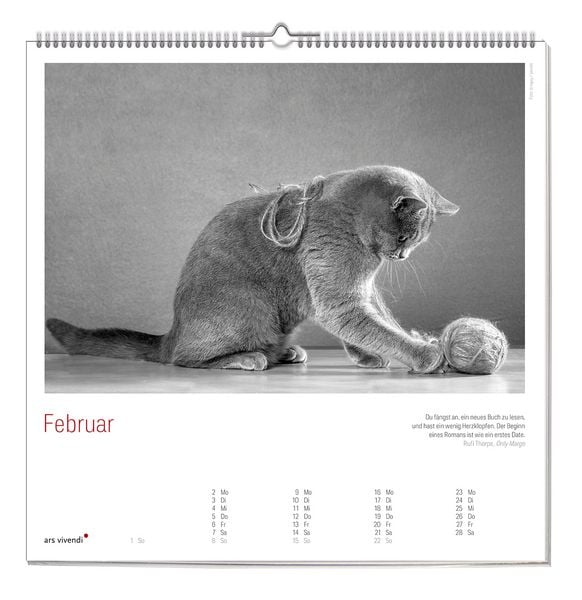 Produktbild: Der grosse literarische Katzen Kalender 2027