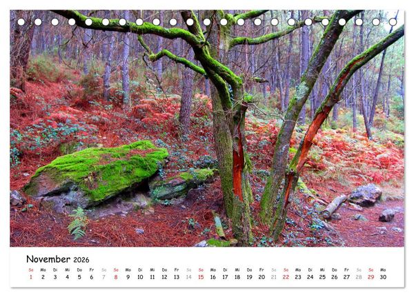 Produktbild: Jakobsweg - Camino Portugues Central (Tischkalender 2026 DIN A5 quer), CALVENDO Monatskalender