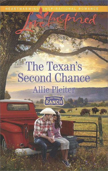 Produktbild: The Texan's Second Chance