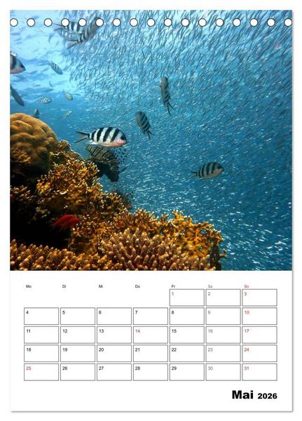 Produktbild: Zauberwelt. Fische, Korallen und Co. (Tischkalender 2026 DIN A5 hoch), CALVENDO Monatskalender