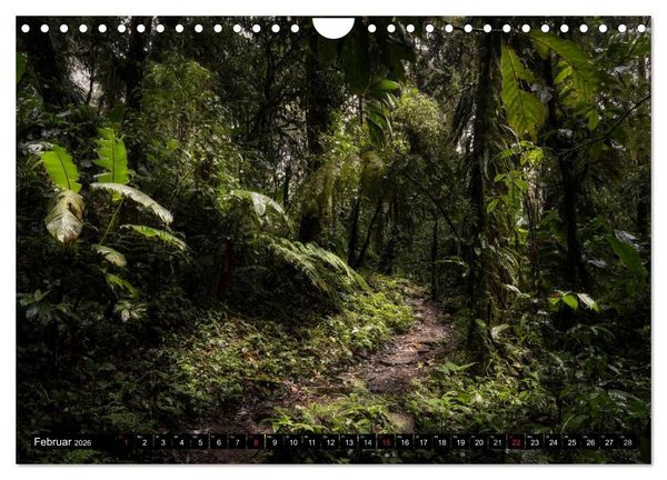 Produktbild: COSTA RICA Farben und Licht (Wandkalender 2026 DIN A4 quer), CALVENDO Monatskalender
