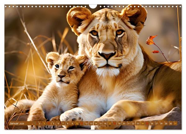 Produktbild: Tierkinder Afrikas - Entdecke ihre zauberhafte Welt (Wandkalender 2026 DIN A3 quer), CALVENDO Monatskalender