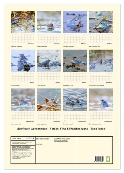 Produktbild: Moorfrosch Geheimnisse &ndash; Farben, Flirts & Froschkonzerte - Tanja Riedel (Wandkalender 2026 DIN A2 hoch), CALVENDO Monatskalender