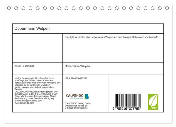 Produktbild: Dobermann Welpen (Tischkalender 2026 DIN A5 quer), CALVENDO Monatskalender