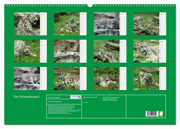 Produktbild: Der Schneeleopard (Wandkalender 2026 DIN A2 quer), CALVENDO Monatskalender