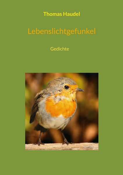 Produktbild: Lebenslichtgefunkel