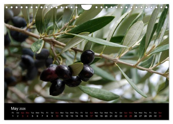 Produktbild: Crete the island of rebels (Wall Calendar 2026 DIN A4 landscape), CALVENDO 12 Month Wall Calendar