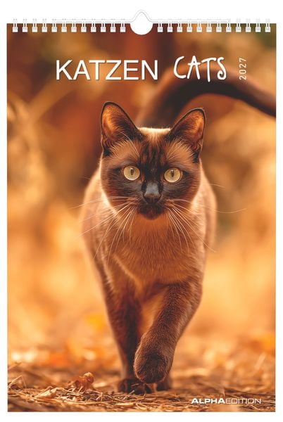Produktbild: Katzen 2027