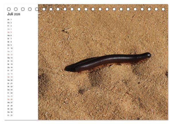 Produktbild: Namibia - Tierische Vielfalt (Planer) (Tischkalender 2026 DIN A5 quer), CALVENDO Monatskalender