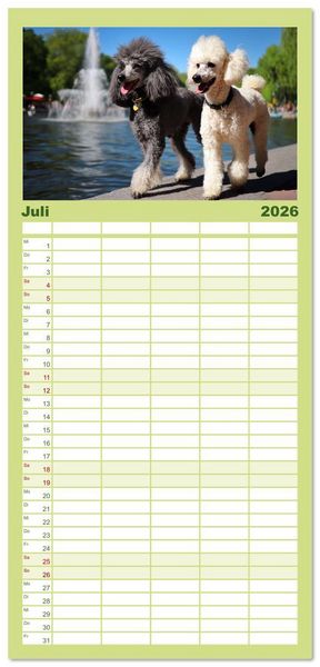 Produktbild: Familienplaner 2026 - Pudel in der Stadt. Urbane Momente voller Charme und Lebensfreude mit 5 Spalten (Wandkalender, 21 x 45 cm) CALVENDO