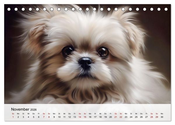 Produktbild: Zauberhafte Fluffies (Tischkalender 2026 DIN A5 quer), CALVENDO Monatskalender