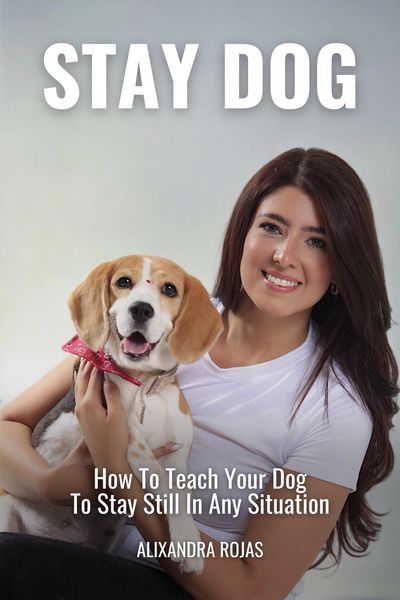 Produktbild: Stay Dog How To Teach Your Dog To Stay Still In Any Situation