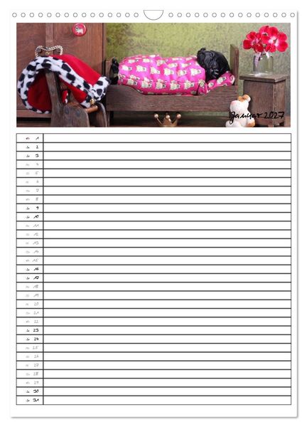 Produktbild: Der mopsige Familienplaner (Wandkalender 2027 DIN A3 hoch), CALVENDO Monatskalender