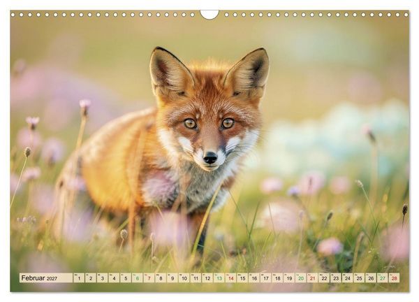 Produktbild: Zwischen den Feldern (Wandkalender 2027 DIN A3 quer), CALVENDO Monatskalender