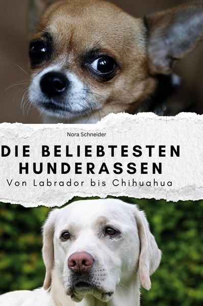 Produktbild: Die beliebtesten Hunderassen