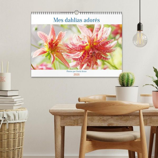 Produktbild: Mes dahlias ador&eacute;s (Calendrier mural 2026 DIN A3 vertical), CALVENDO calendrier mensuel